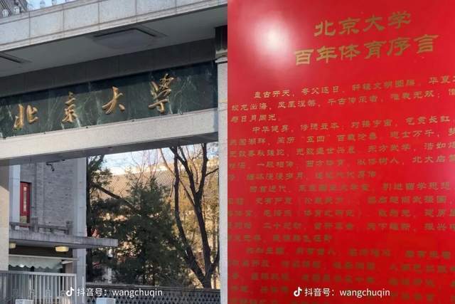 中国新闻网, 和丁宁的程