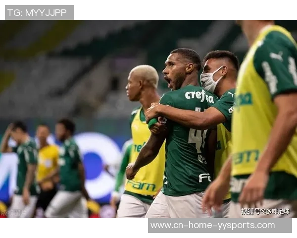 帕尔梅拉斯对阵弗卢米嫩塞：在第35轮巴西杯的竞赛中哪里能够观看